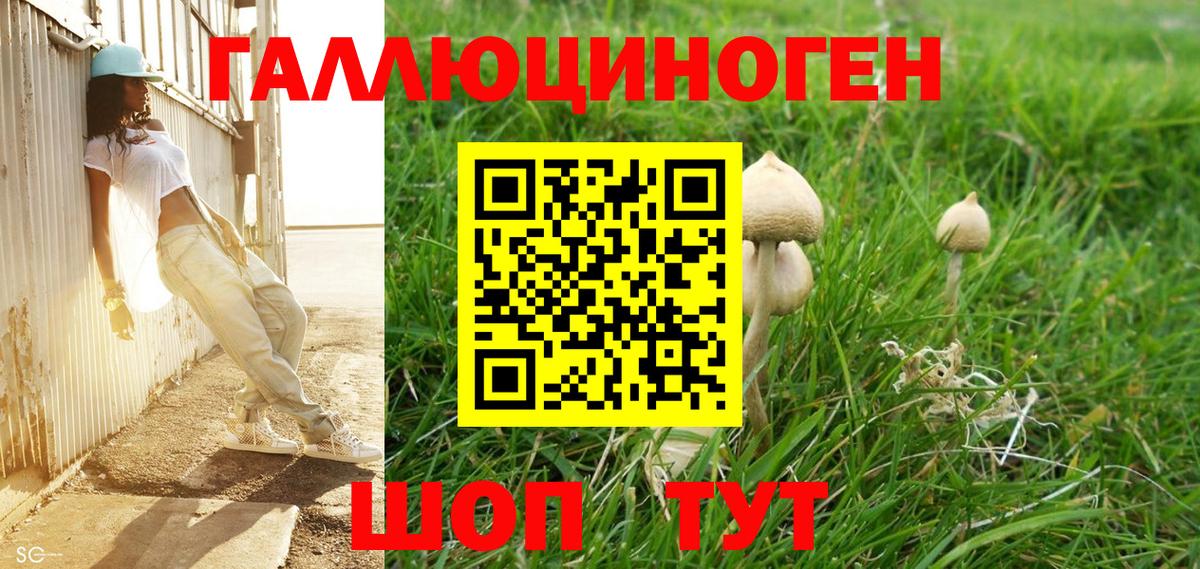 Галлюциногенные грибы Magic Shrooms Россошь