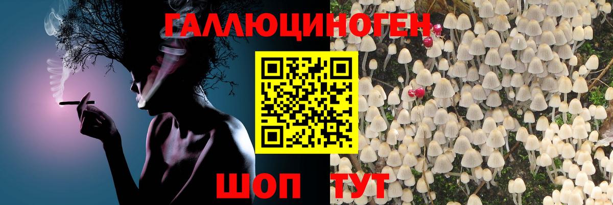 Россошь  Псилоцибиновые грибы MAGIC MUSHROOMS  Вход с VPN  Галлюциногенные грибы прущие грибы 